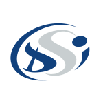 Logo DSI